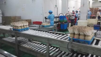 市投促局赴上海考察取得積極成果，四項(xiàng)目達(dá)成技術(shù)咨詢共識(shí)